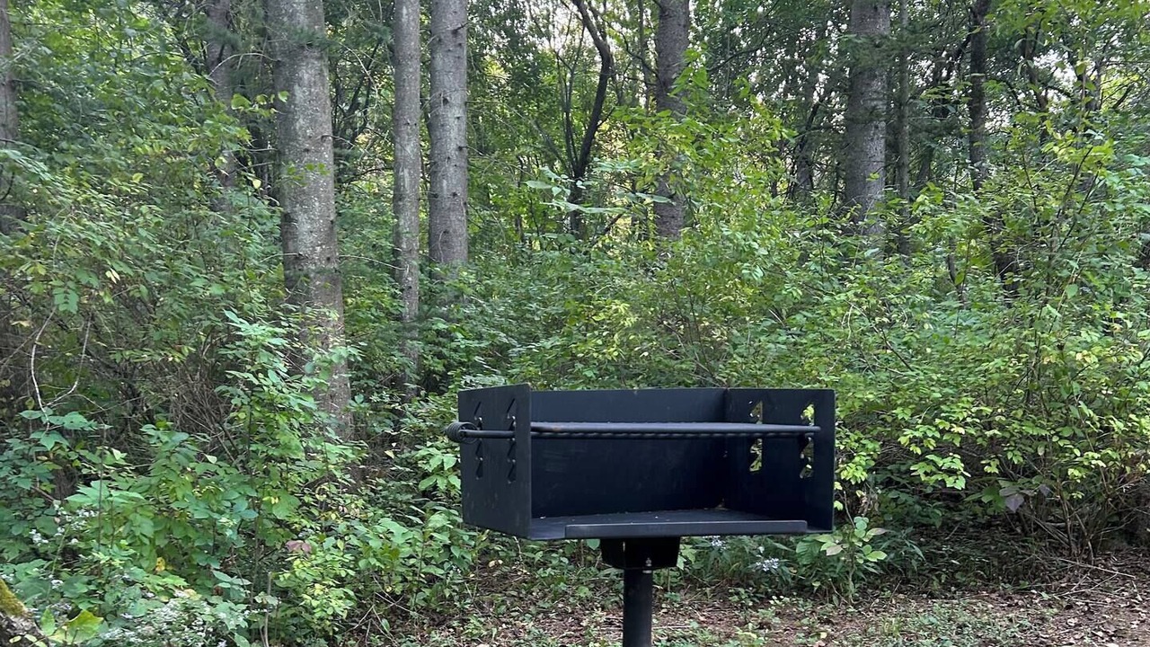 Photo of Outdoor in Angelica