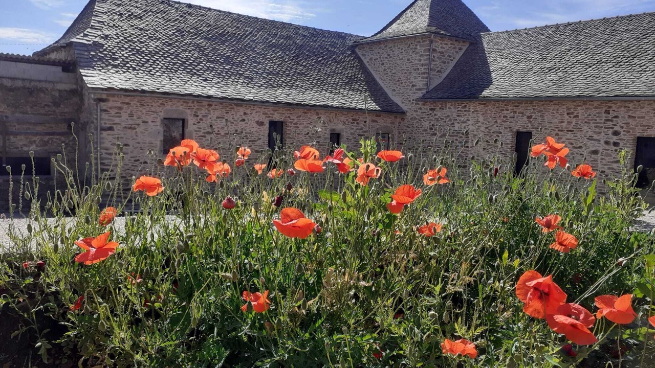 Photo of Outdoor in Rignac