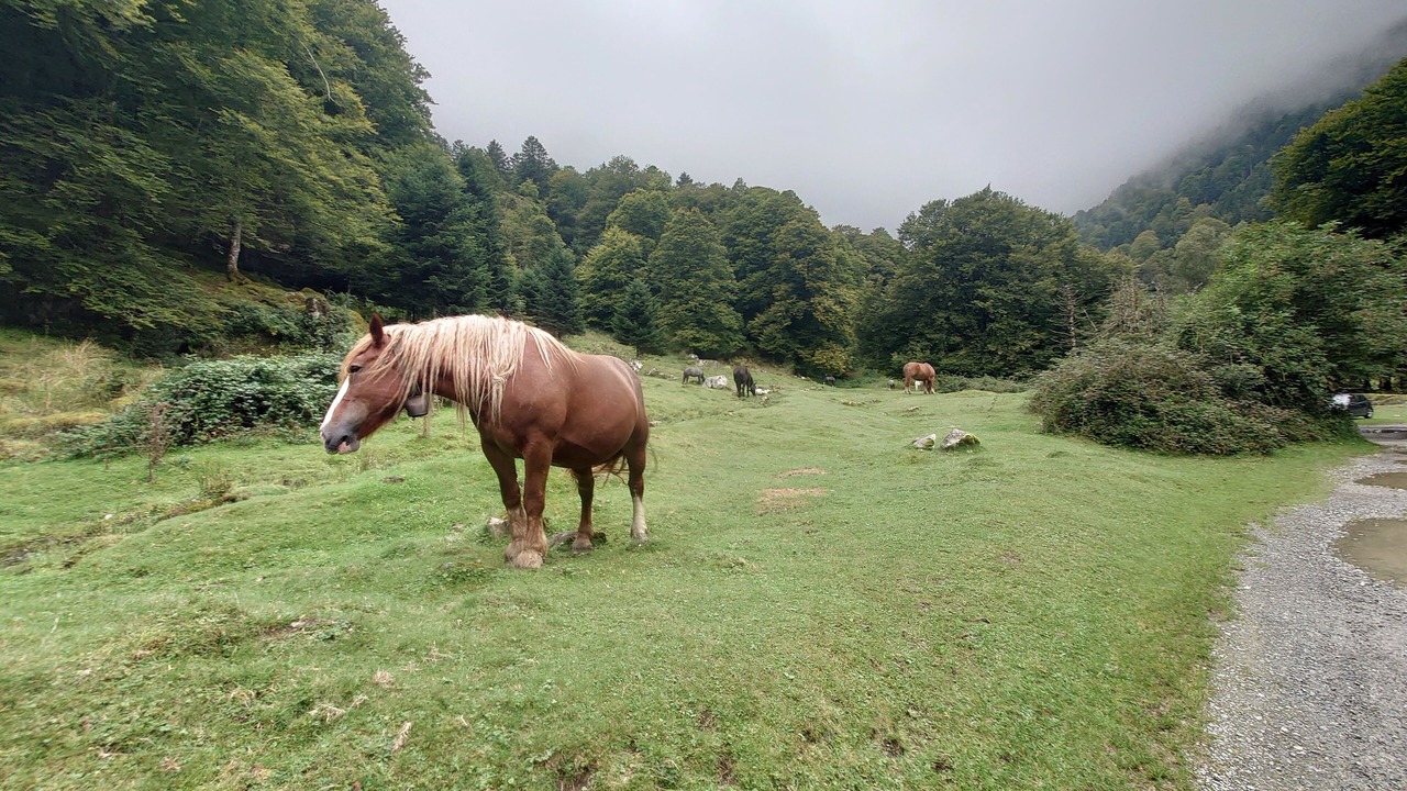 Photo of Others in Campan