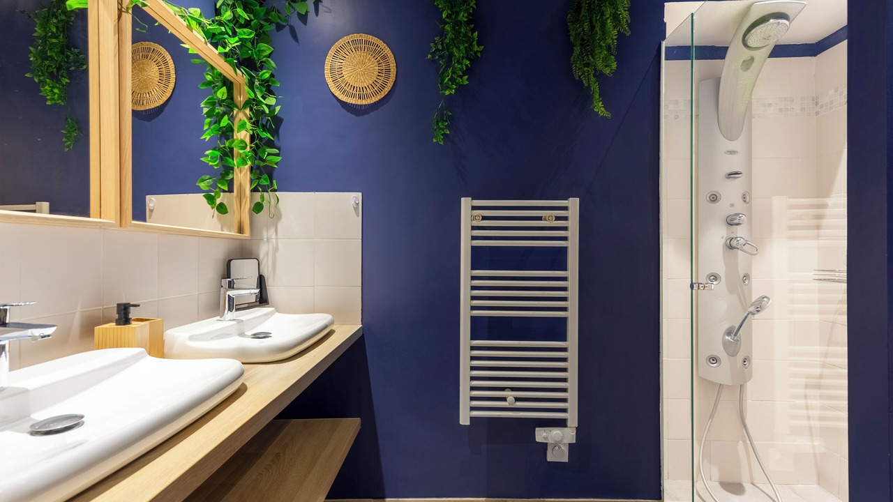 Photo of Bathroom in Carabacel