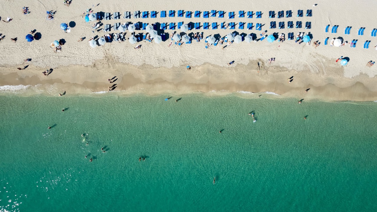 Photo of Others in Hallandale Beach