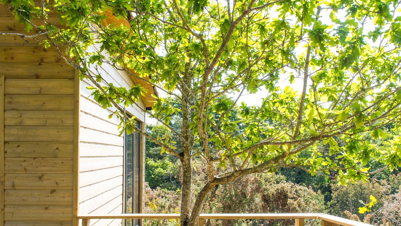 Photo of Others in Pont-Aven