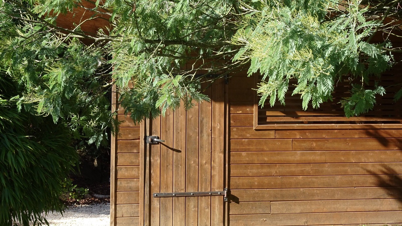 Photo of Others in Pont-Aven