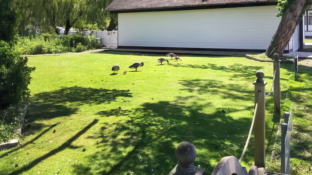 Photo of Outdoor in Horning