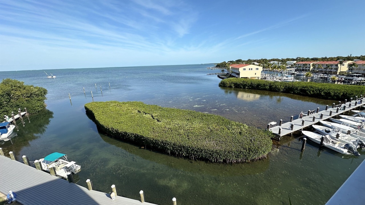Photo of Others in Islamorada