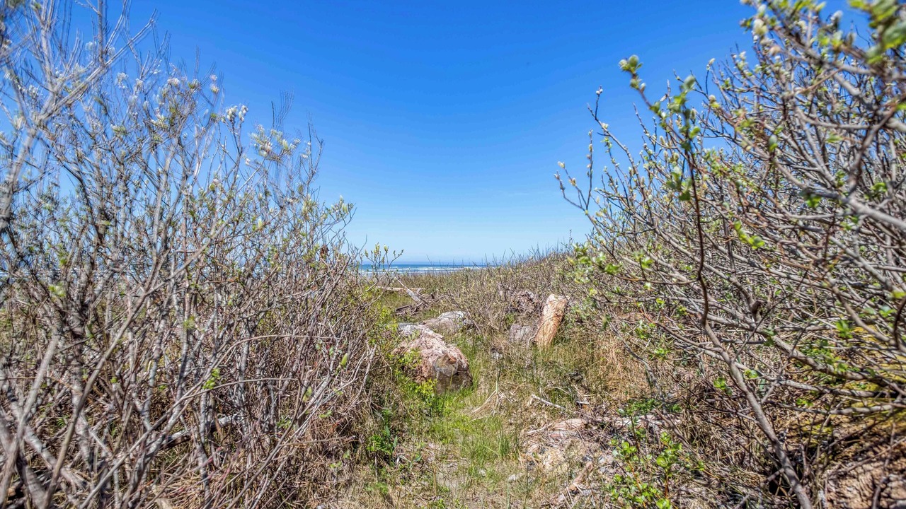 Photo of Others in Seal Rock