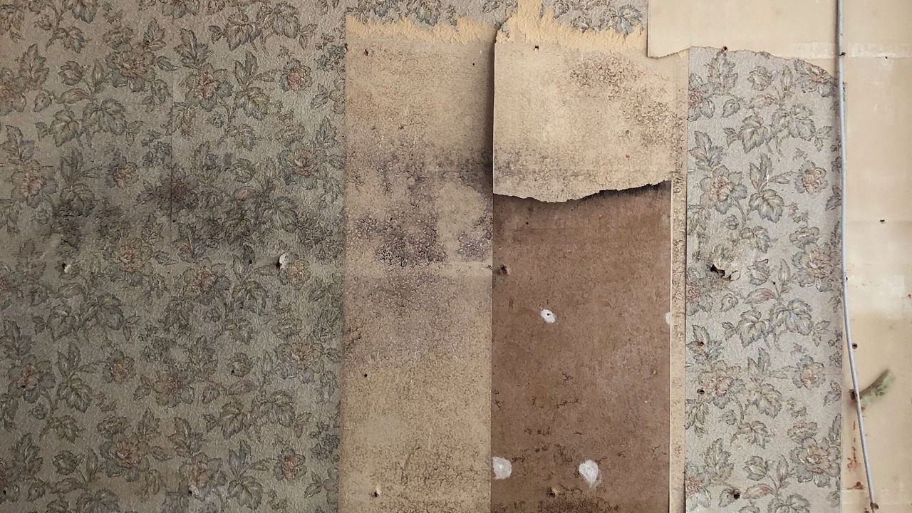 Photo of Others in Kolding