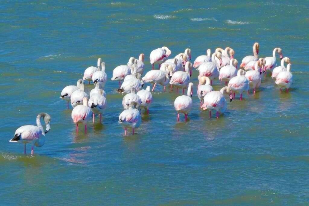 Photo of Others in Gruissan