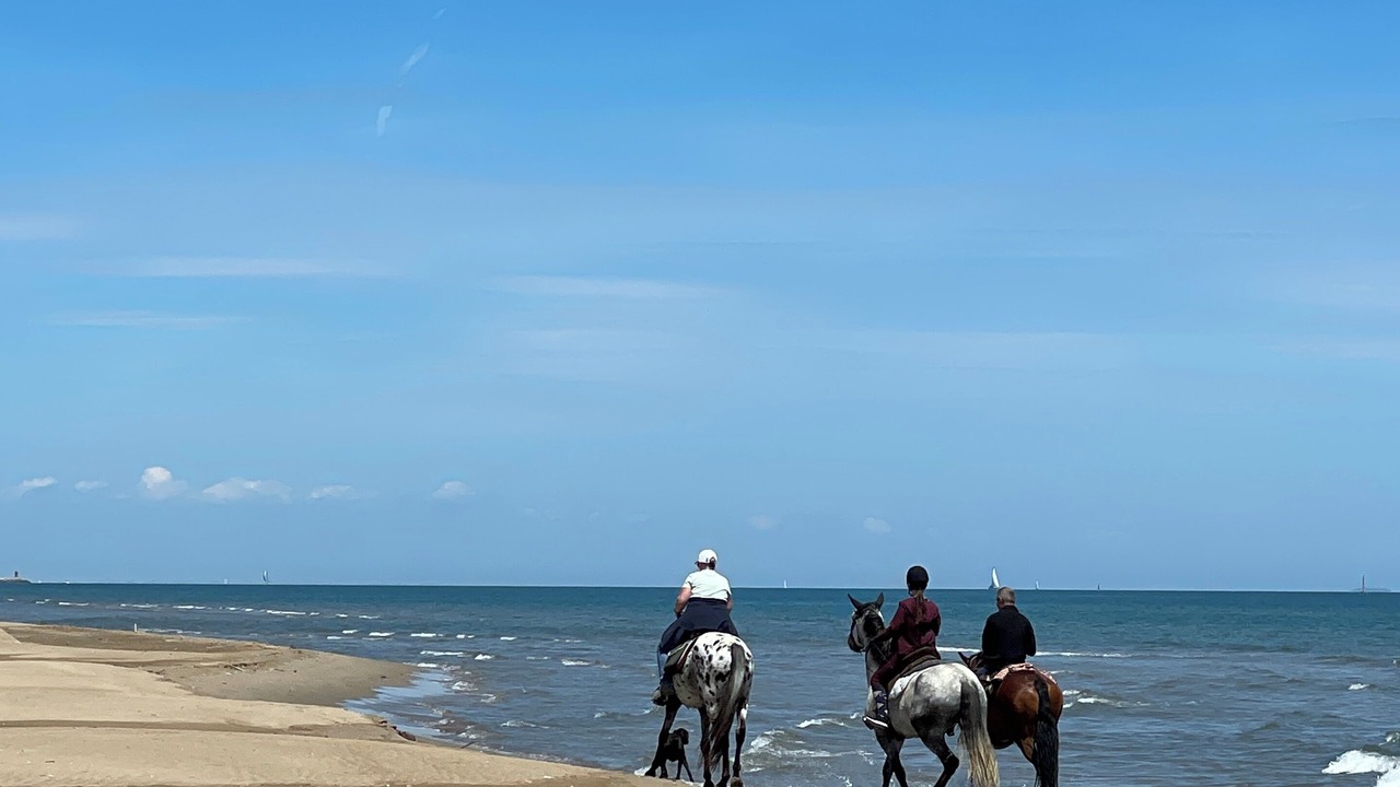 Photo of Others in Gruissan