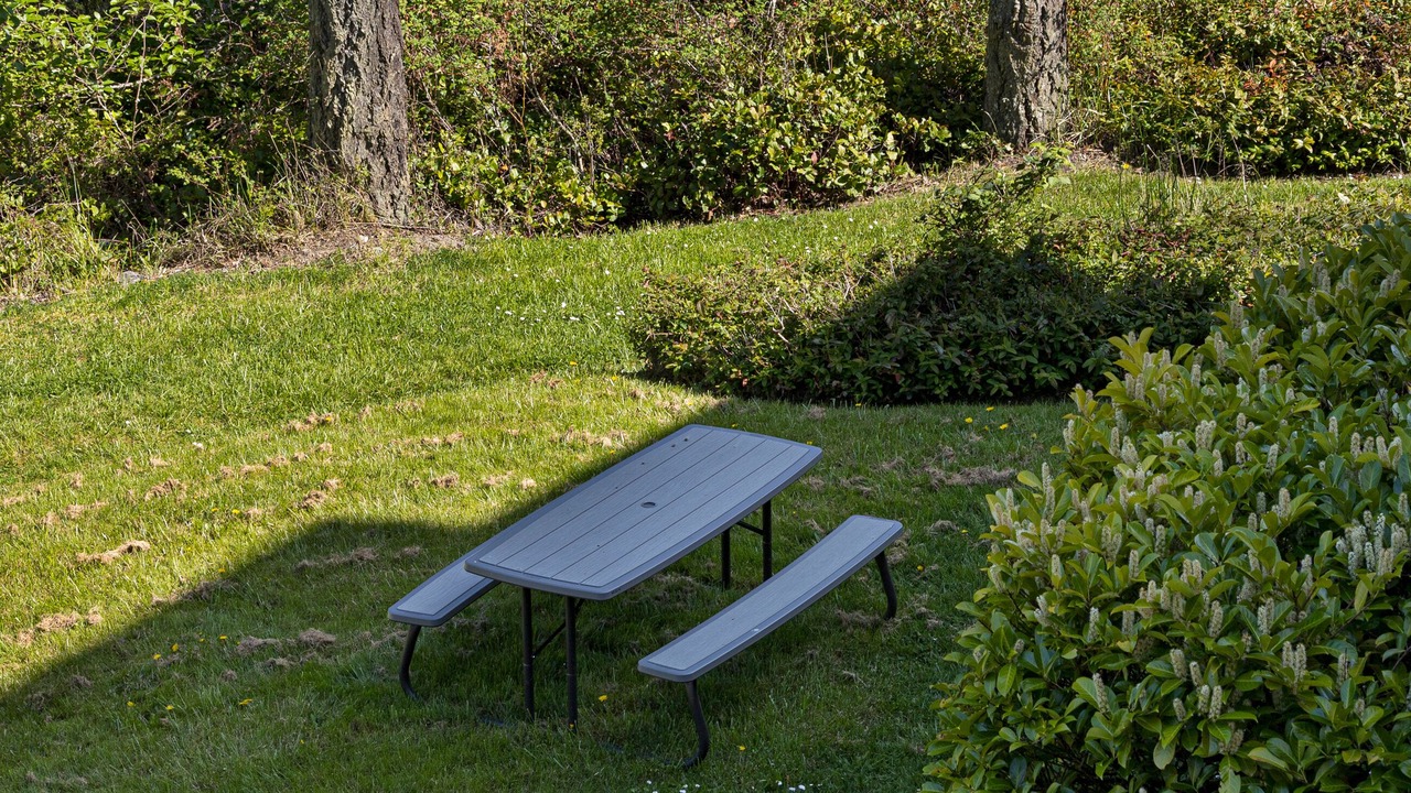 Photo of Others in Roche Harbor