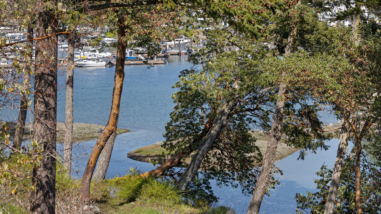 Photo of Others in Roche Harbor
