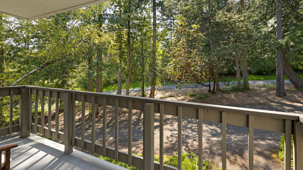 Photo of Others in Roche Harbor