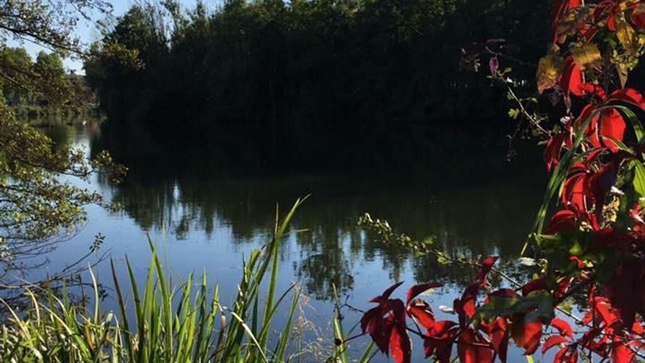 Photo of Others in Port-sur-Saone