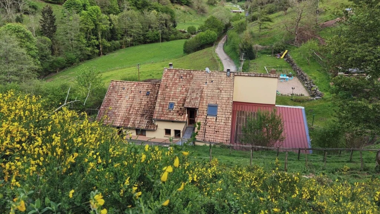 Photo of Outdoor in Thannenkirch