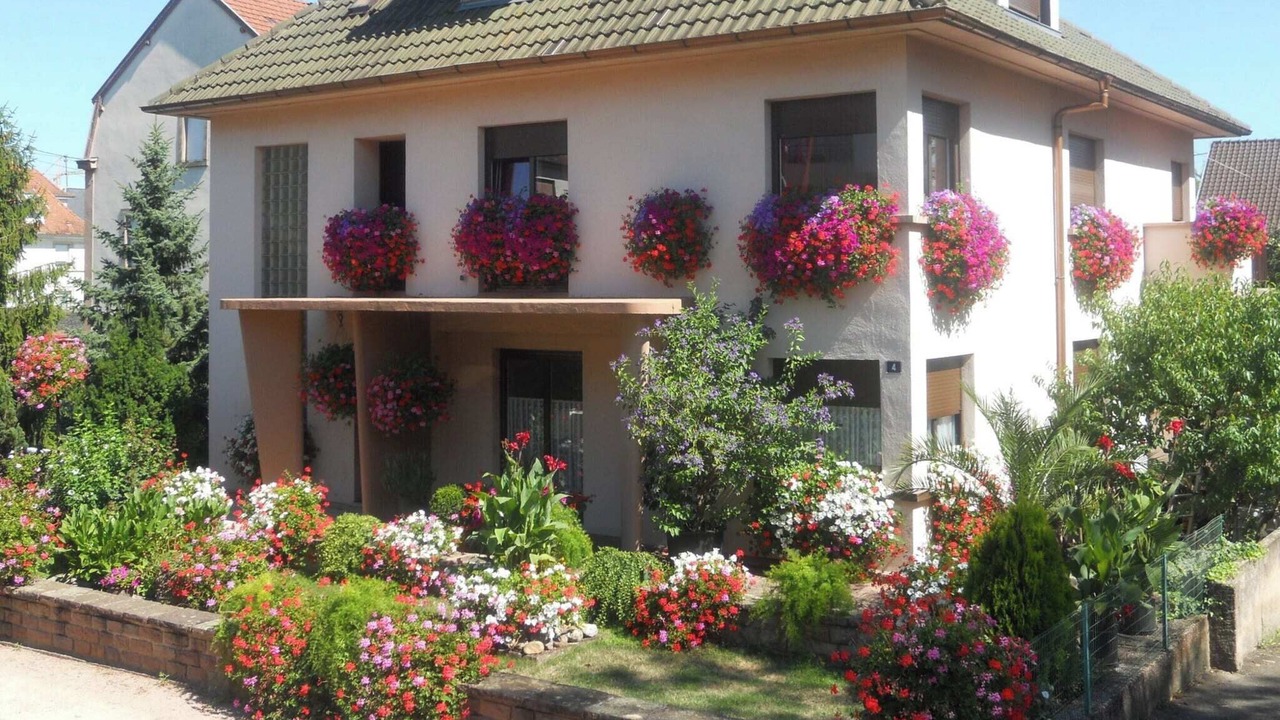 Photo of Outdoor in Thannenkirch