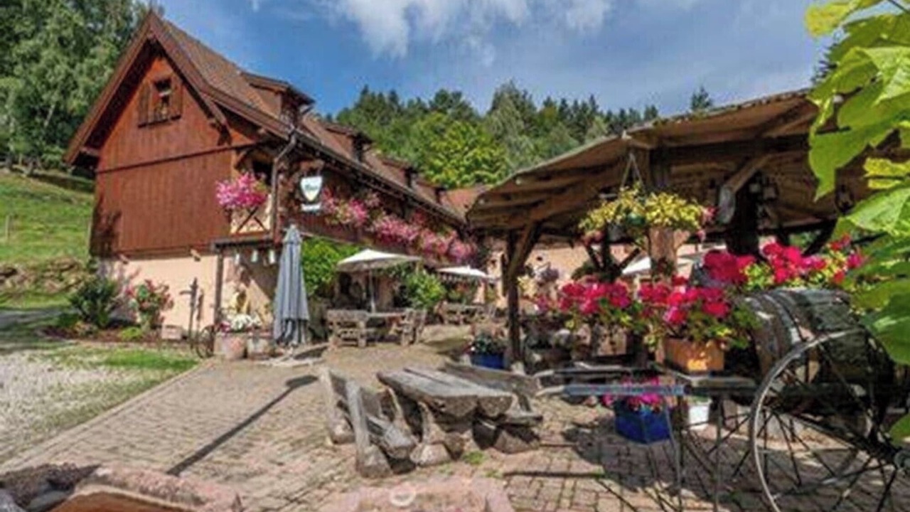 Photo of Outdoor in Thannenkirch