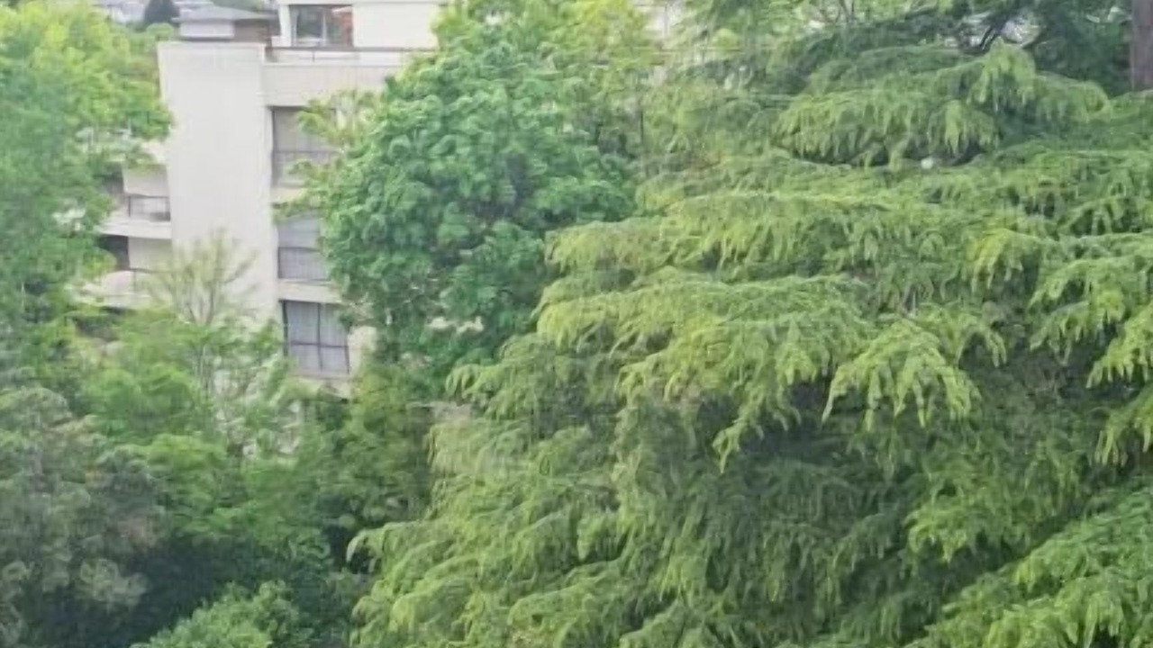 Photo of Outdoor in Proce