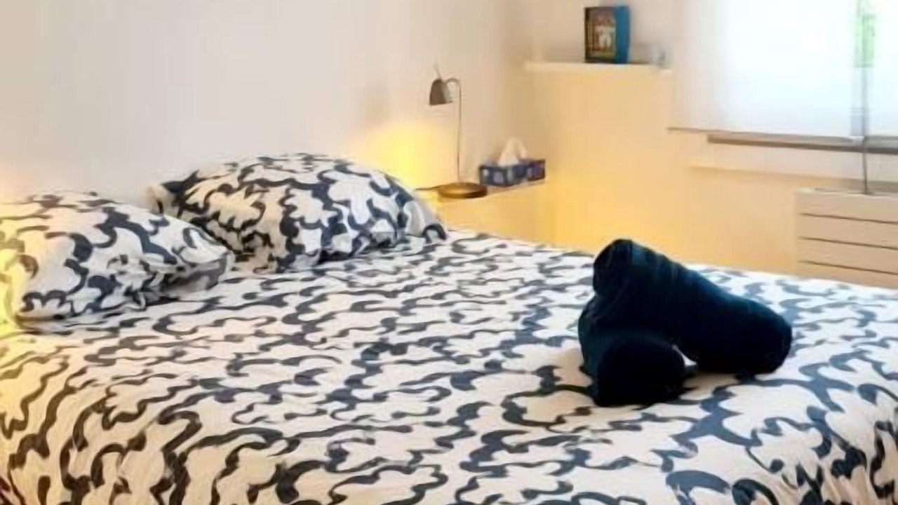 Photo of Bedroom in Proce