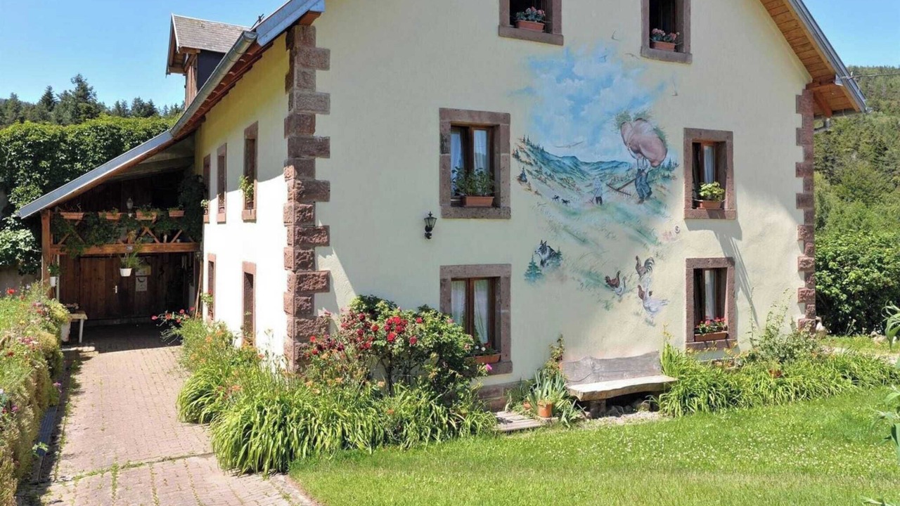 Photo of Outdoor in Thannenkirch