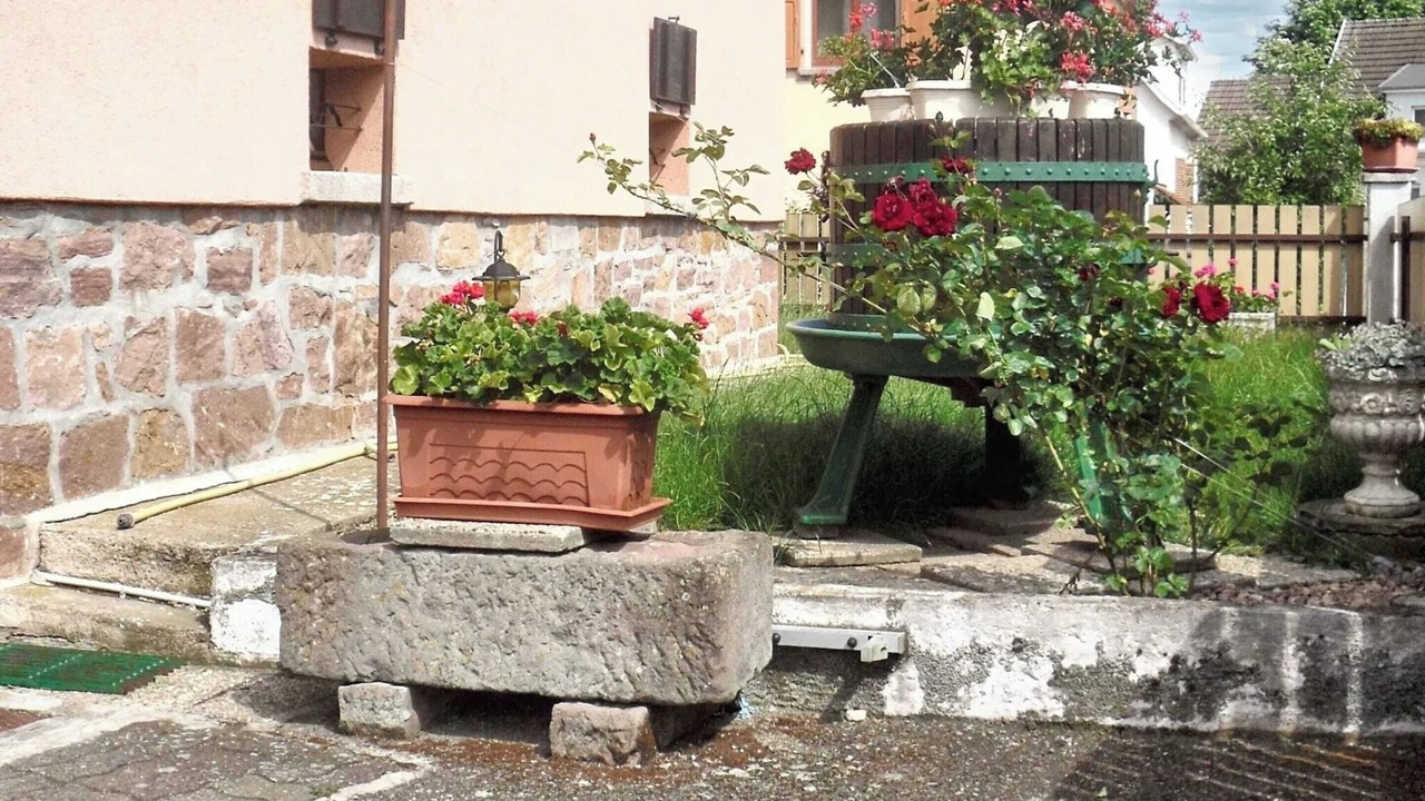 Photo of Outdoor in Thannenkirch