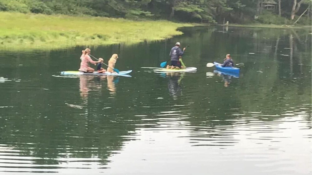 Photo of Others in Kennebunk