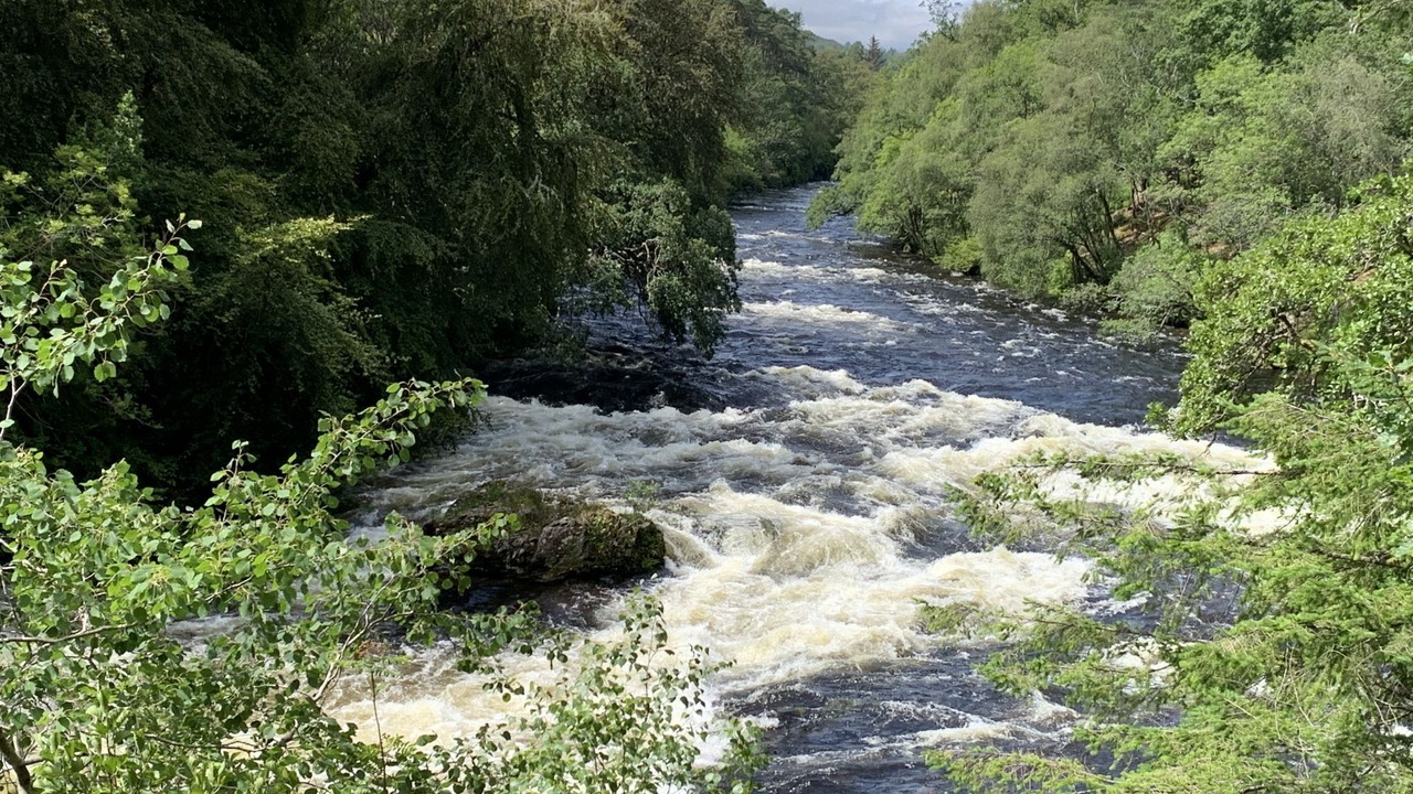 Photo of Others in South Laggan