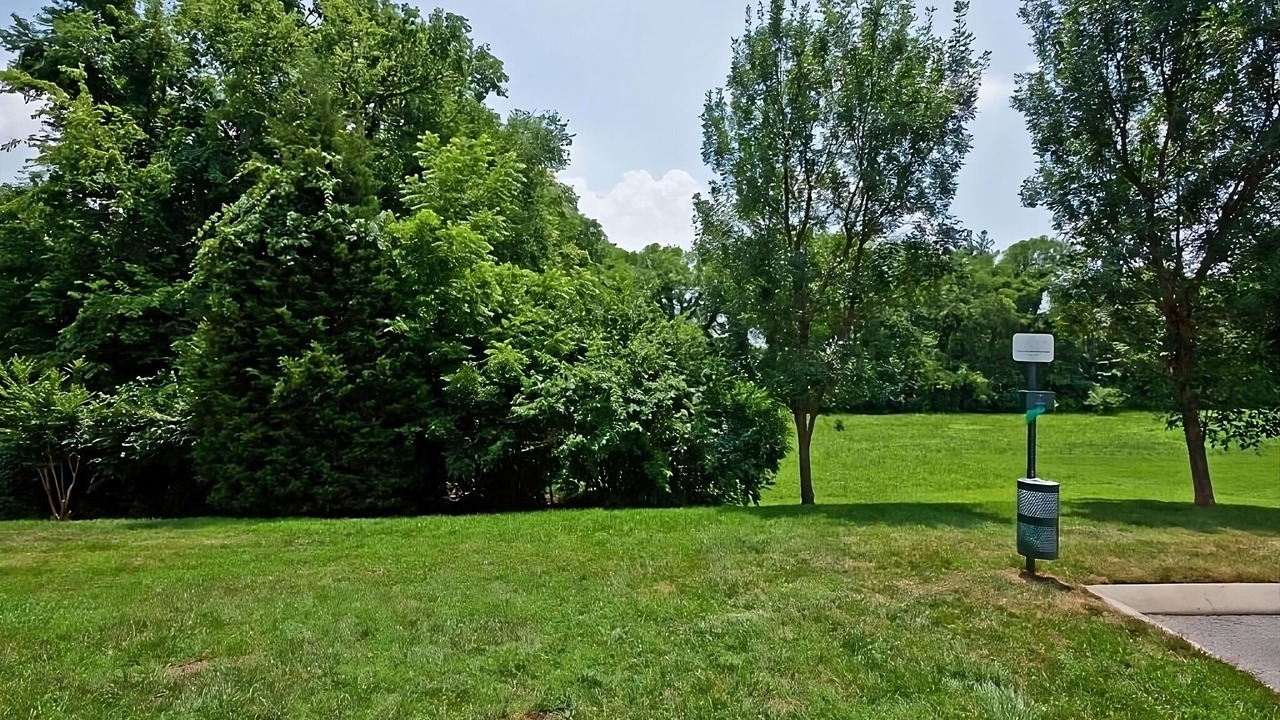 Photo of Outdoor in Brentwood