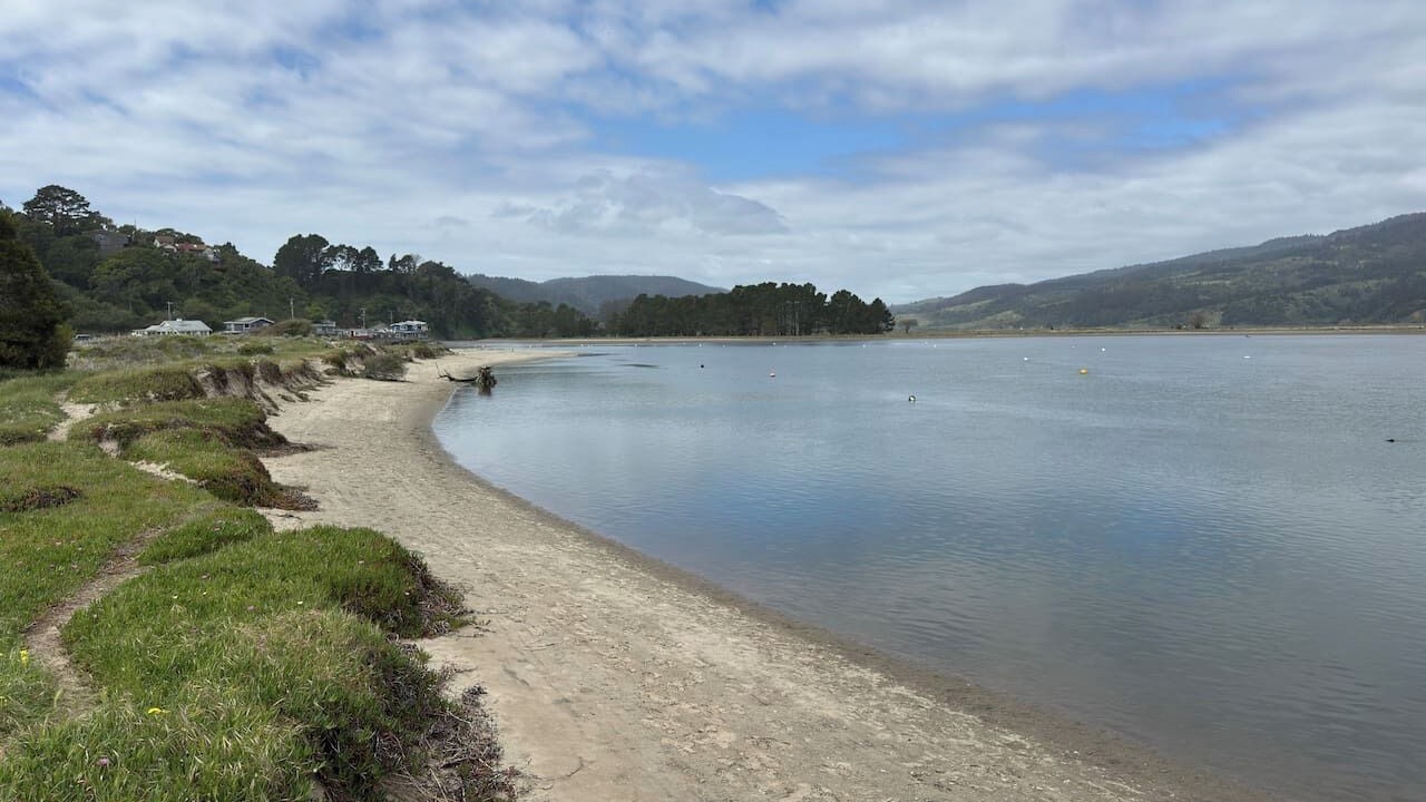 Photo of Others in Stinson Beach