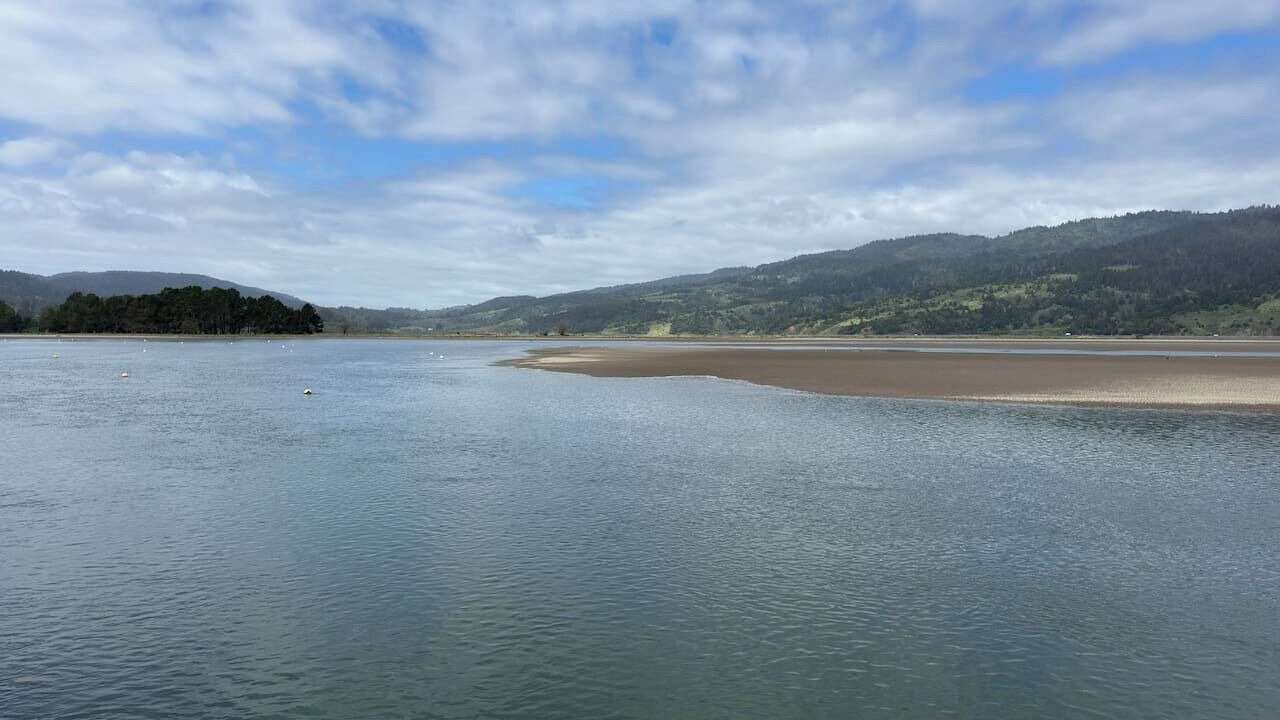 Photo of Others in Stinson Beach