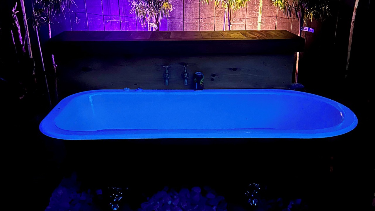 Photo of Outdoor in Muriwai