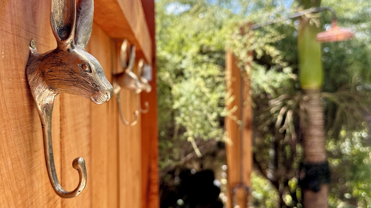 Photo of Outdoor in Muriwai