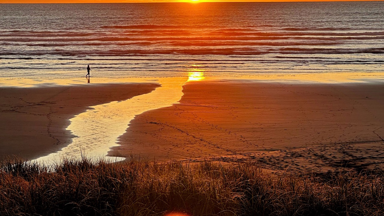 Photo of Others in Muriwai