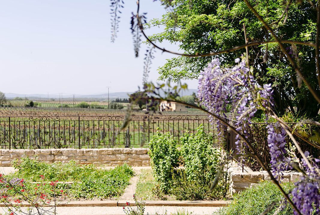 Photo of Outdoor in Orange