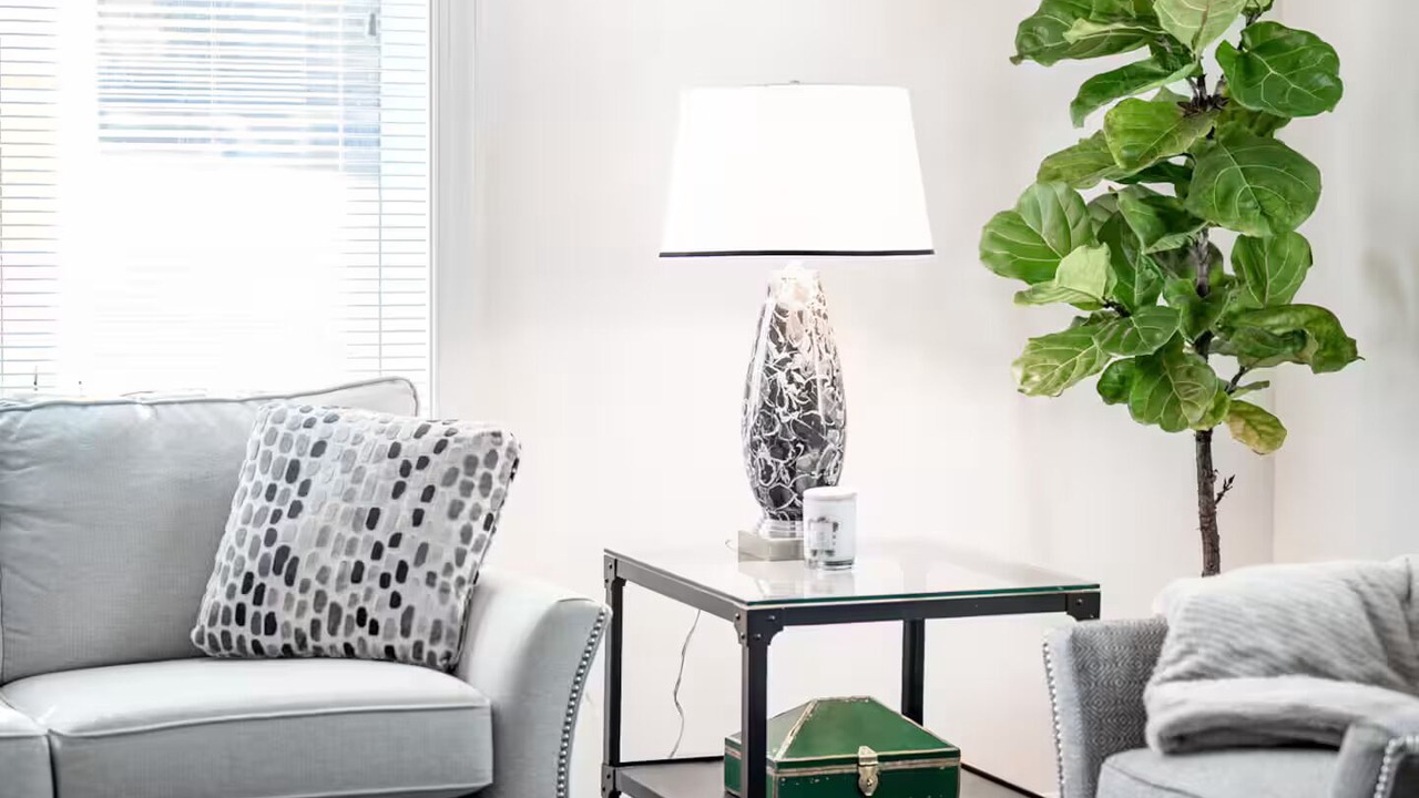 Photo of Livingroom in Lynchburg