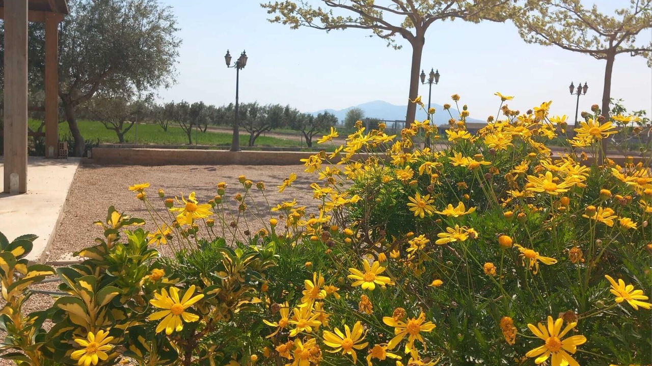 Photo of Outdoor in L'Aldea