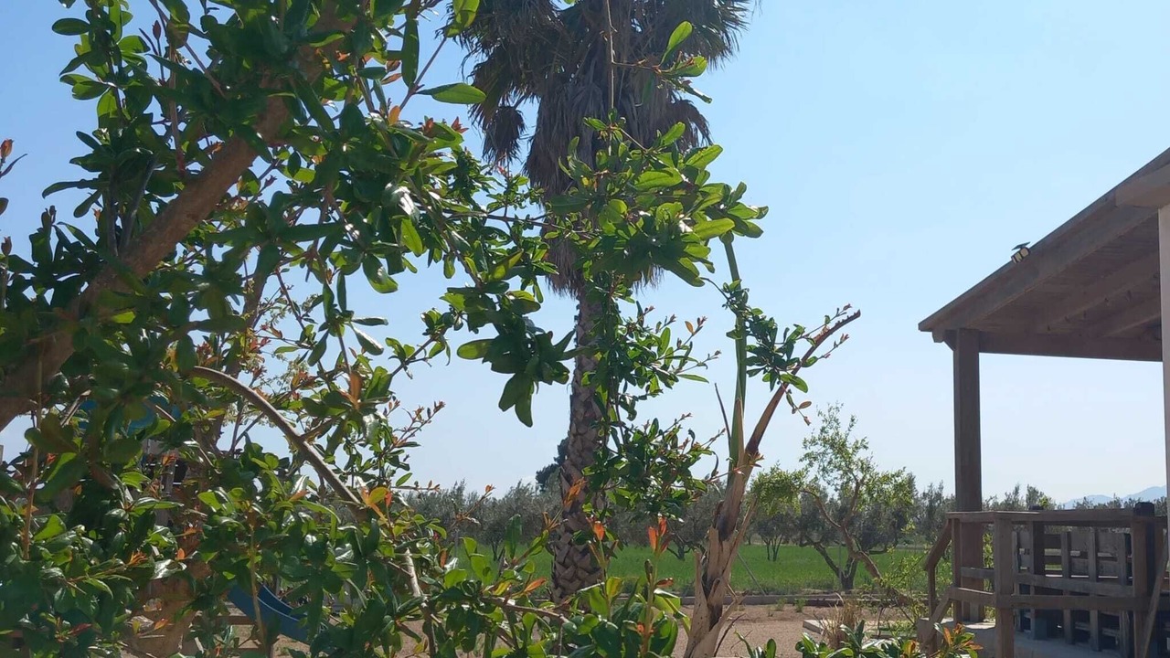 Photo of Outdoor in L'Aldea