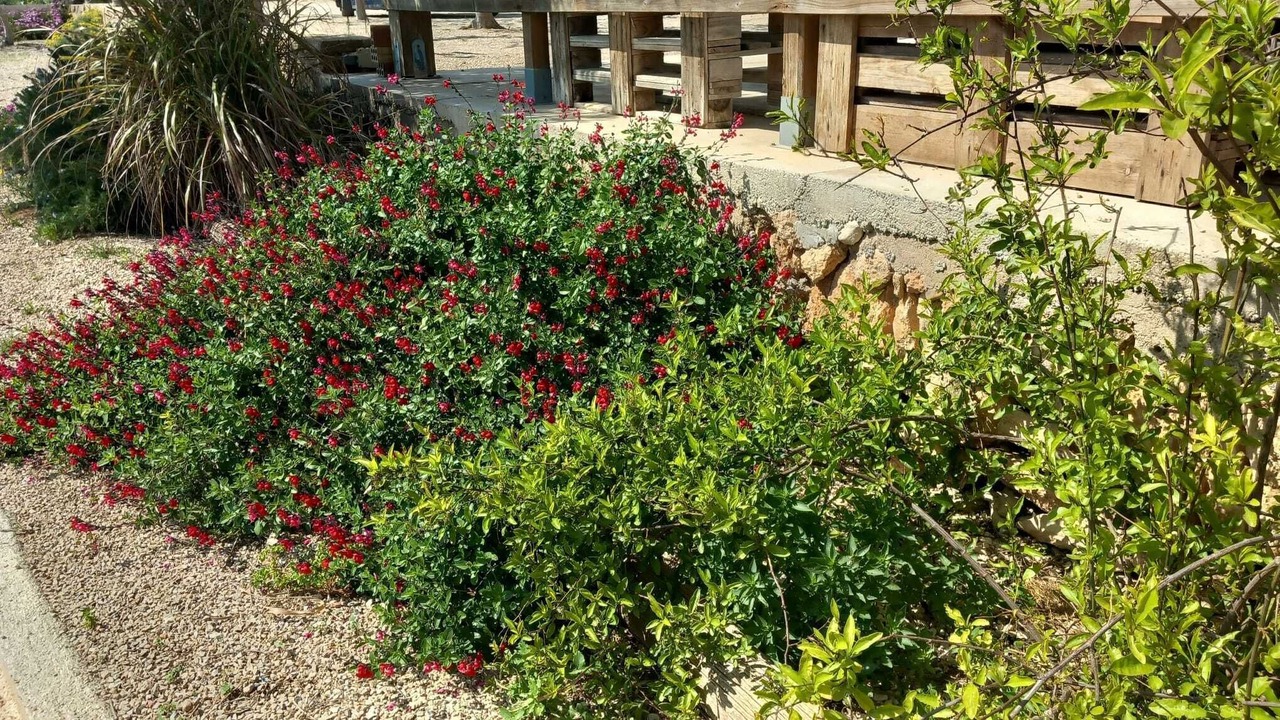 Photo of Outdoor in L'Aldea