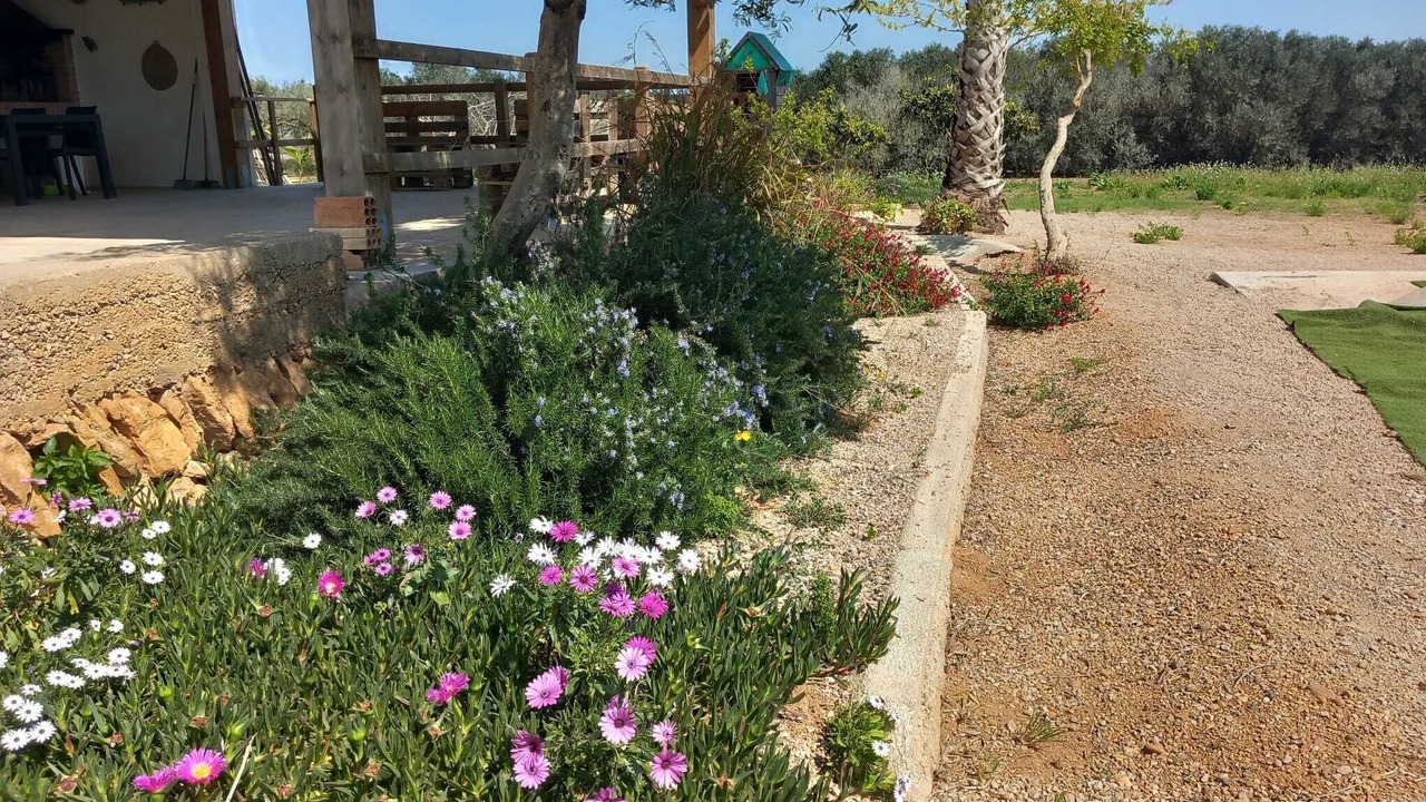 Photo of Outdoor in L'Aldea