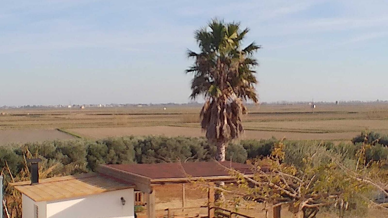 Photo of Outdoor in L'Aldea