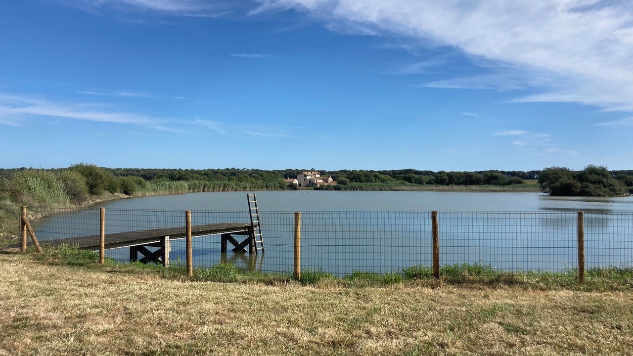 Photo of Others in Jard-sur-Mer
