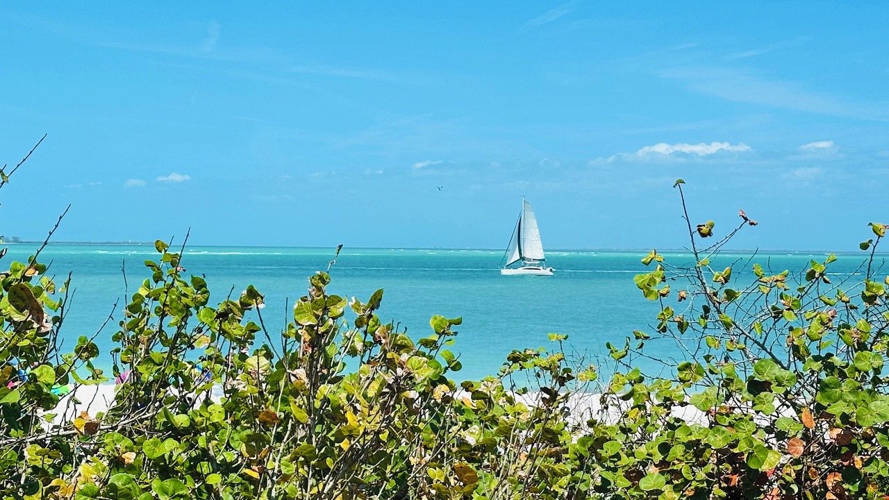 Photo of Others in Ellenton