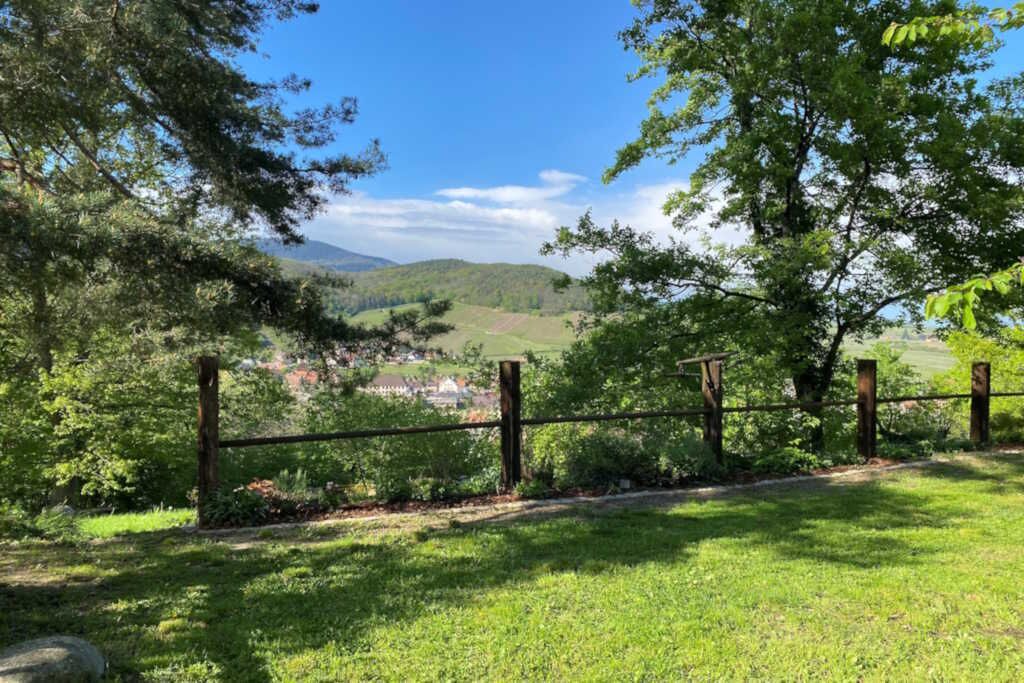 Photo of Outdoor in Andlau