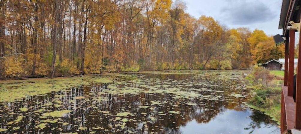 Photo of Outdoor in South Butler
