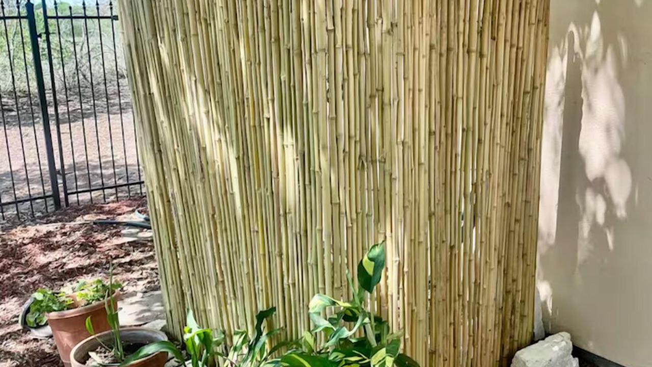Photo of Outdoor in Converse