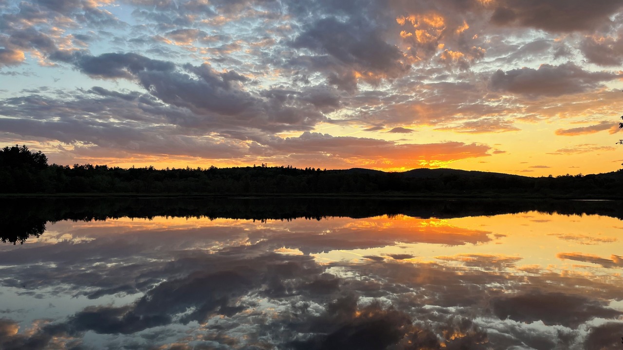 Photo of Others in Waterford