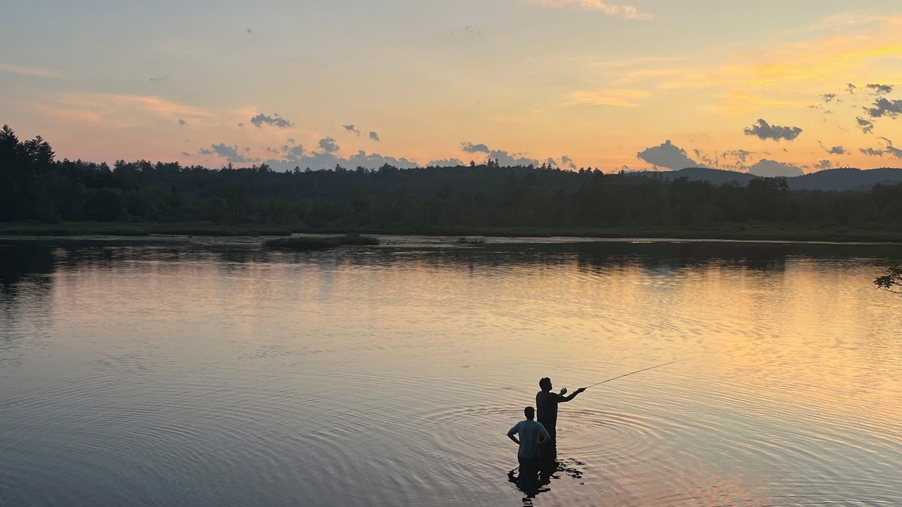 Photo of Others in Waterford