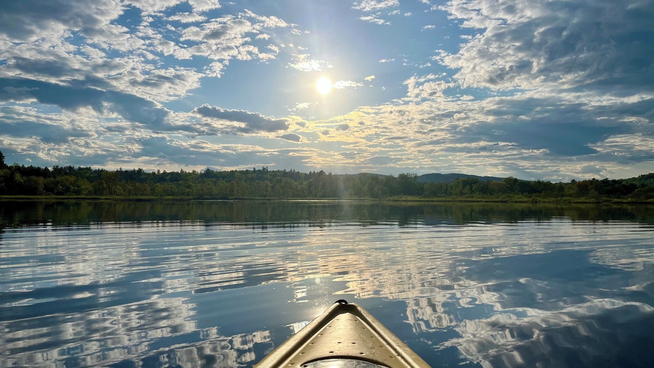 Photo of Others in Waterford