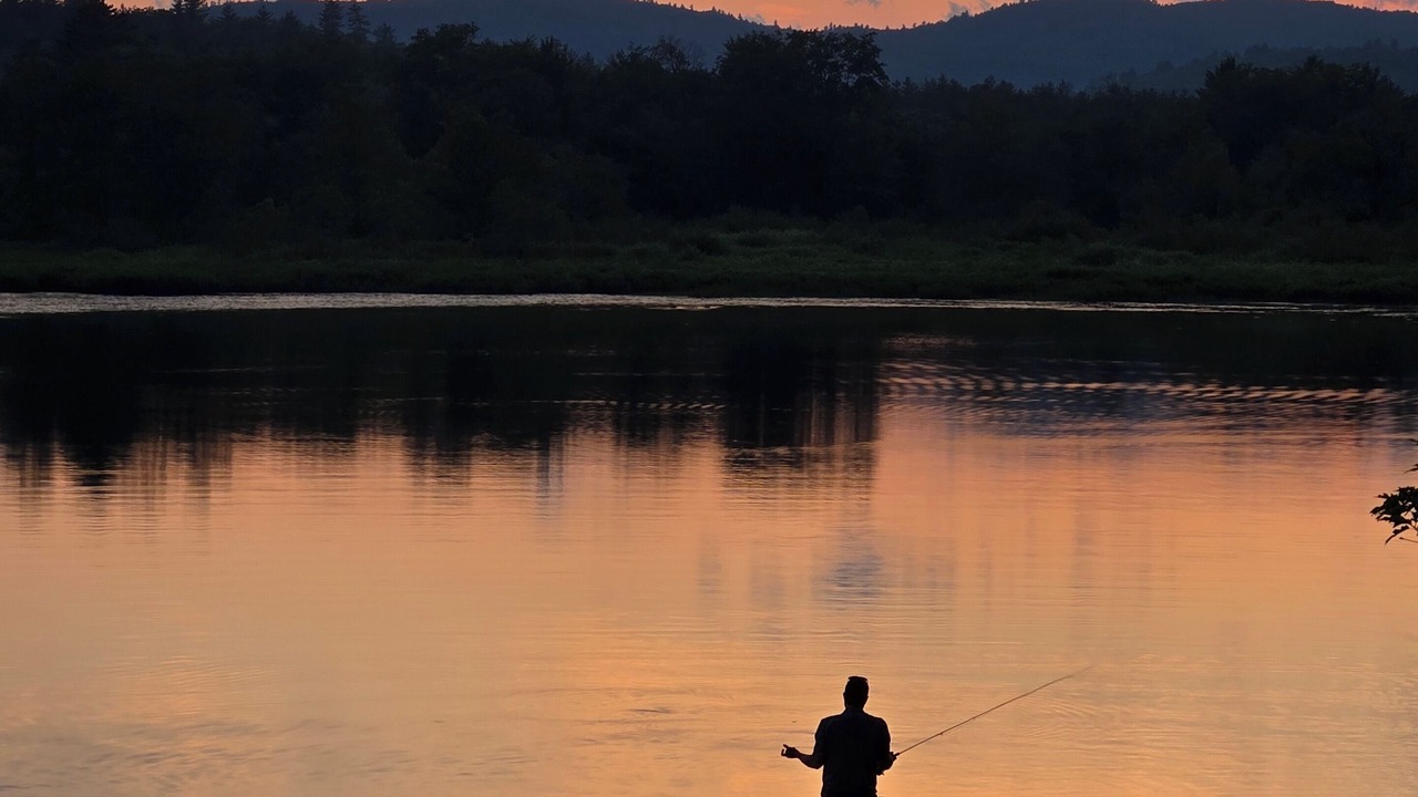 Photo of Others in Waterford