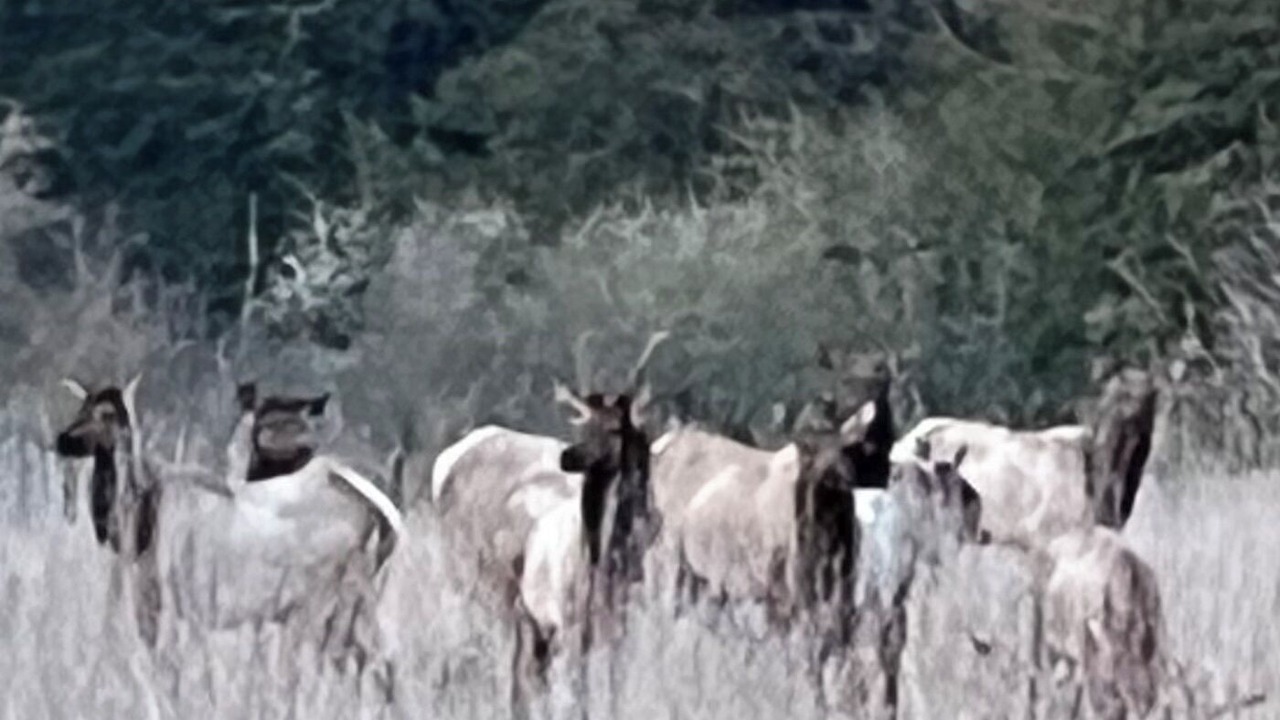 Photo of Others in Carlsborg