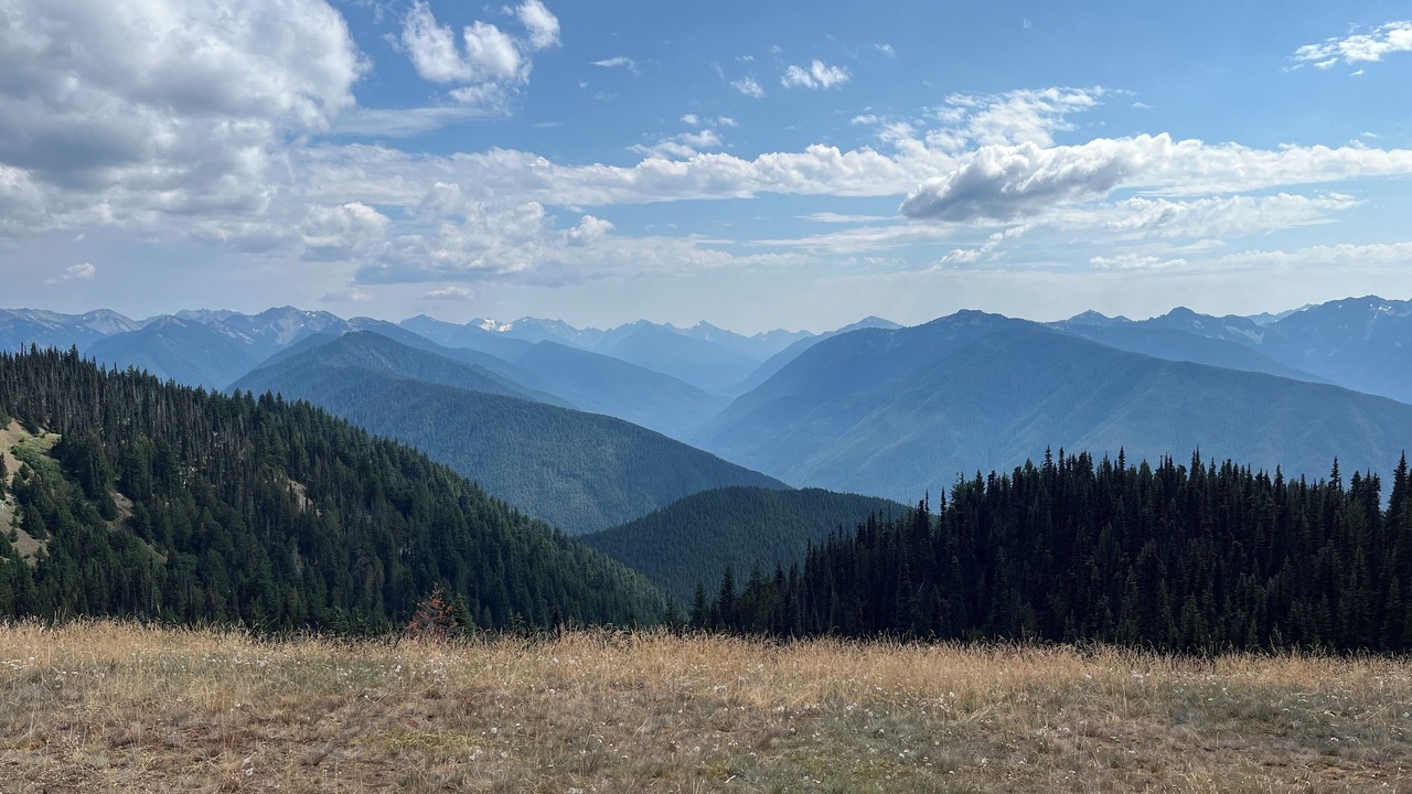 Photo of Others in Carlsborg